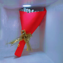 Money Flower Red Roses