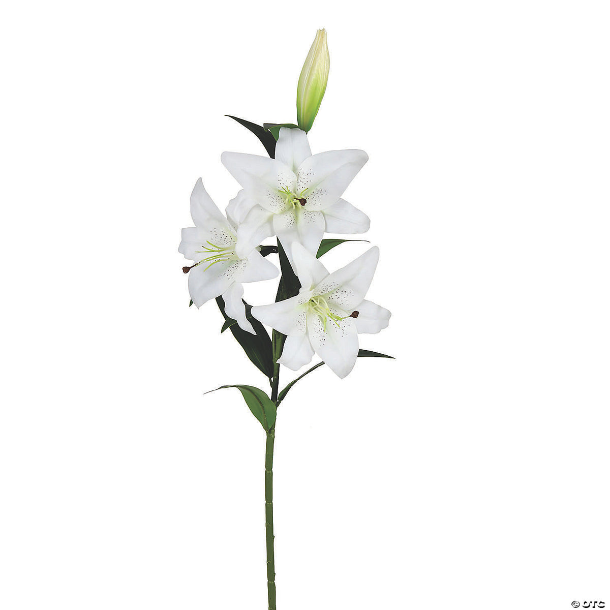 white lili One string of white Lily – Dine-Asty Fleurs