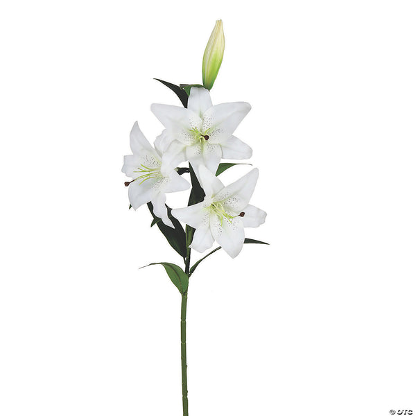 sensationail white lily One string of white Lily – Dine-Asty Fleurs