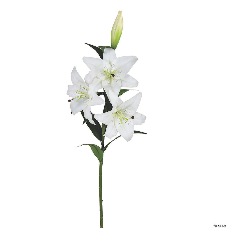 One string of white Lily – Dine-Asty Fleurs