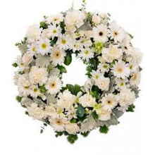 White Daisies, Greenery