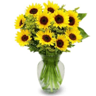 Sunflowers and Greenery